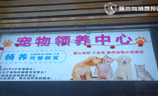 啄木鸟投诉平台舆情周报：警惕代理退费机构的“套路”