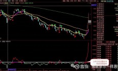 多因素共振 汽车板块投资价值被看好