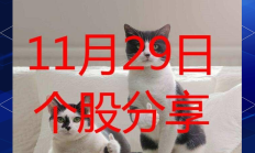 三季报是精选个股好时机