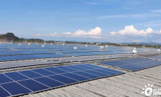 晶科科技高层人事大变动，沙江海接替王洪出任总经理