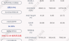 国城矿业前三季盈利5202万元 大股东质押率超99%机构持股数量减少