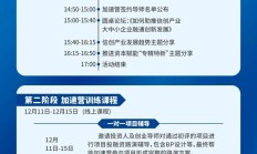 强链补链 锂电材料上市公司加速“出海”