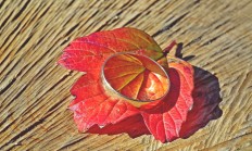 国美电器CEO王巍确认离职