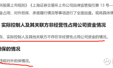 209家上市公司年报被出具非标审计报告