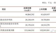 深市首批半年报出炉 四家公司业绩“双增”