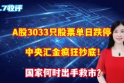 中央汇金增持A股 经济韧性撑起资本信心
