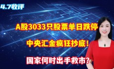 中央汇金增持A股 经济韧性撑起资本信心