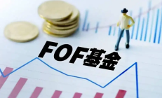 FOF基金业绩反弹明显，持续性有待观察；仍有基金经理清仓式卸任
