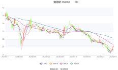 海航期货2024年营收同比增长220.67% 净利同比增长641.09%