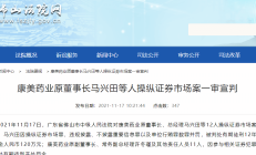 特别代表人诉讼或再增两起 立体化追责严惩“首恶”“帮凶”