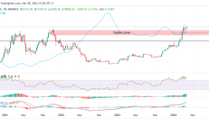5家外商独资公募三季度账本：贝莱德规模重回50亿门槛，富达基金大手笔调仓加码消费和信息技术