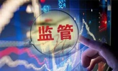 资本市场加快构建财务造假综合惩防体系