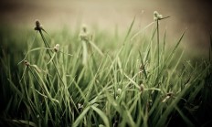 透视13家上市银行一季报：加码对公业务 科技、绿色等领域贷款增速显著