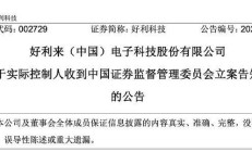 被立案调查后未及时披露 紫天科技再收关注函