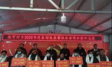 政策“施肥”市场“深耕” A股分红生态升级