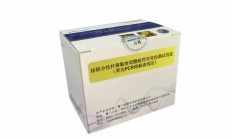 艾美疫苗/百克生物Ⅱ型单纯疱疹病毒mRNA疫苗获批临床试验