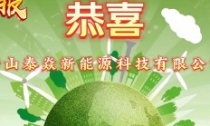 新能源企业积极“出海” 打造绿色低碳“新引擎”