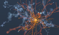 全球科技早参丨首款双语“读脑”设备助失声者交流