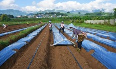 “我们的澜沧”乡村生态振兴座谈会在澜沧召开