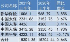 产寿险均实现增长 A股五大险企上半年保费收入约1.76万亿元