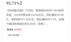 闻泰科技股价连跌 公司决定暂不下修可转债转股价格