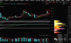 公众号发文引股价异动 复旦复华收交易所问询函