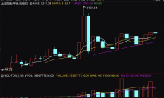 向“新”发力夯实经营业绩 沪市公司2024年形稳势升