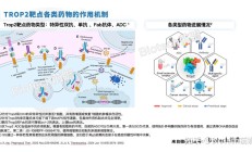 科伦博泰PD-L1单抗科泰莱获批上市 适应症为鼻咽癌