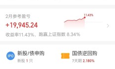 A股科技蓝筹杀跌，这只港股却6天吸金187亿港元，南向资金为何“买买买”？