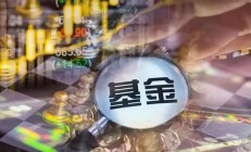 张坤、谢治宇最新调仓动向曝光；公募斥资超300亿元参与定增丨天赐良基早参