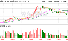 港股高开低走 创新药板块走强