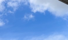 券商分红热情高 近420亿元红包“在路上”