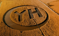 光伏大洗牌中场战事：出货榜单暗藏苦楚，产业链涨价乏力