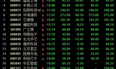 几家欢乐几家愁！蛇年首个交易日，3只基金涨超7%，却有16只跌超8%