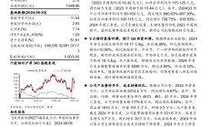 华厦眼科2024年三季报：“双三甲”实力蓄势待发 短期增速放缓难掩券商看好