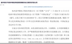 三季报披露前夕，东方盛虹更换财务负责人