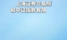 上交所召开保荐机构座谈会 扎实推进科创板“1+6”政策落实落地