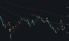 VC/PE周报 | 片仔癀出资做LP；产业资本投资活跃