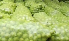 “核桃采购量全国第一”获权威认证 六个核桃领军推动产业共繁荣