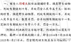 翰宇药业原总裁袁建成挪用资金罪终审裁定 刑期较一审判决缩短半年