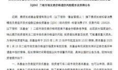 跨境ETF投资“狂欢”背后：高溢价风险引关注，多只产品紧急停牌