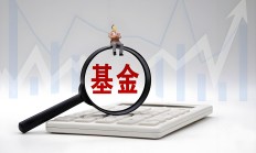 两家公募有副总经理变动；年内已有127家公募自购权益基金