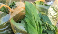 上期综合业务平台浙油中心报价专区基差报价功能上线