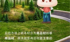 原木期货和期权在大商所上市