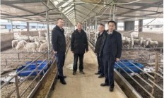 金融监管总局：鼓励银行机构积极参与退役军人创业贷业务