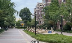 全球科技早参丨Synchron将进行大规模植入试验