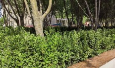 拉家常 聚民心丨北京大兴安定镇系列心理活动助推共建共治共享新格局