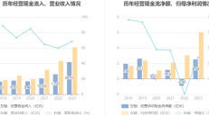 盛美上海上半年营收增长49.33% 净利润同比微增0.85%