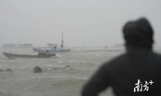 多家上市公司披露台风“摩羯”影响