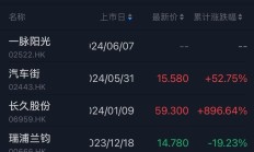 港股新股集资领跑全球“新核心资产”
